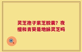 灵芝孢子紫芝胶囊？夜檀和青葵是地脉灵芝吗