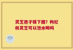 灵芝孢子镜下图？枸杞和灵芝可以泡水喝吗