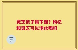 灵芝孢子镜下图？枸杞和灵芝可以泡水喝吗
