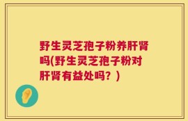 野生灵芝孢子粉养肝肾吗(野生灵芝孢子粉对肝肾有益处吗？)