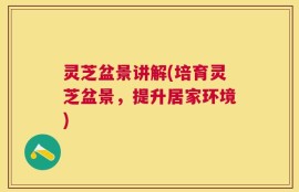 灵芝盆景讲解(培育灵芝盆景，提升居家环境)