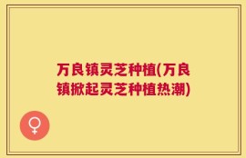万良镇灵芝种植(万良镇掀起灵芝种植热潮)