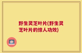 野生灵芝叶片(野生灵芝叶片的惊人功效)