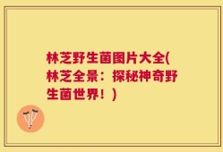 林芝野生菌图片大全(林芝全景：探秘神奇野生菌世界！)