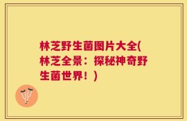 林芝野生菌图片大全(林芝全景：探秘神奇野生菌世界！)