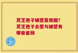 灵芝孢子破壁显微图？灵芝孢子去壁与破壁有哪些差别