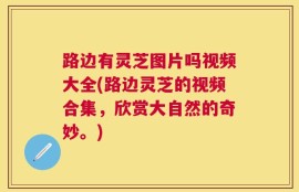 路边有灵芝图片吗视频大全(路边灵芝的视频合集，欣赏大自然的奇妙。)