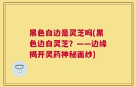 黑色白边是灵芝吗(黑色边白灵芝？——边缘揭开灵药神秘面纱)