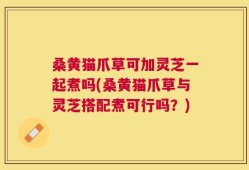 桑黄猫爪草可加灵芝一起煮吗(桑黄猫爪草与灵芝搭配煮可行吗？)