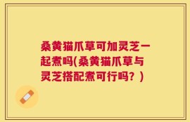 桑黄猫爪草可加灵芝一起煮吗(桑黄猫爪草与灵芝搭配煮可行吗？)