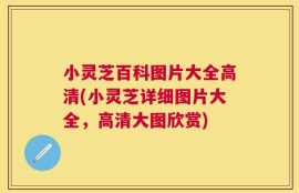小灵芝百科图片大全高清(小灵芝详细图片大全，高清大图欣赏)