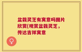 盆栽灵芝有寓意吗图片欣赏(观赏盆栽灵芝，传达吉祥寓意