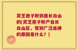 灵芝孢子粉到底长白山的(灵芝孢子粉产自长白山区，受到广泛追捧的原因是什么？)