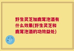 野生灵芝加鹿茸泡酒有什么效果(野生灵芝和鹿茸泡酒的功效益处)