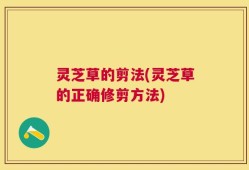 灵芝草的剪法(灵芝草的正确修剪方法)