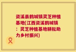 资溪县鹤城镇灵芝种植基地(江西资溪鹤城镇：灵芝种植基地耕耘助力乡村振兴)