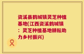 资溪县鹤城镇灵芝种植基地(江西资溪鹤城镇：灵芝种植基地耕耘助力乡村振兴)