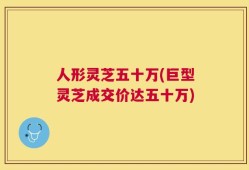 人形灵芝五十万(巨型灵芝成交价达五十万)