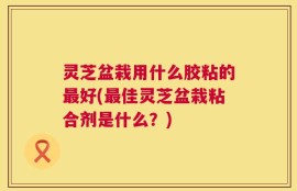 灵芝盆栽用什么胶粘的最好(最佳灵芝盆栽粘合剂是什么？)