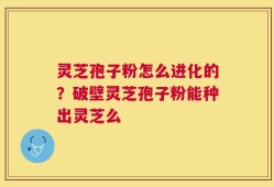 灵芝孢子粉怎么进化的？破壁灵芝孢子粉能种出灵芝么
