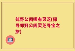 郊野公园哪有灵芝(探寻郊野公园灵芝寻宝之旅)