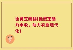 徐灵芝舜耕(徐灵芝助力丰收，助力农业现代化)
