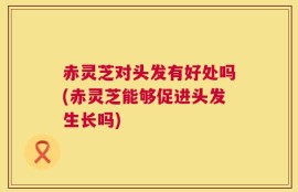 赤灵芝对头发有好处吗(赤灵芝能够促进头发生长吗)