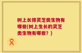 树上长得灵芝类生物有哪些(树上生长的灵芝类生物有哪些？)