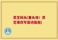 灵芝码头(重头戏！灵芝港改写造访指南)