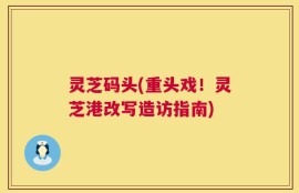 灵芝码头(重头戏！灵芝港改写造访指南)