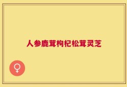 人参鹿茸枸杞松茸灵芝