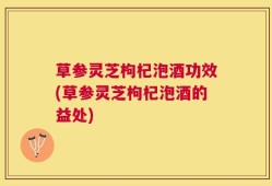 草参灵芝枸杞泡酒功效(草参灵芝枸杞泡酒的益处)