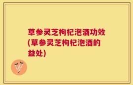 草参灵芝枸杞泡酒功效(草参灵芝枸杞泡酒的益处)