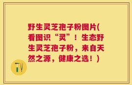 野生灵芝孢子粉图片(看图识“灵”！生态野生灵芝孢子粉，来自天然之源，健康之选！)