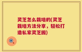 灵芝怎么栽培的(灵芝栽培方法分享，轻松打造私家灵芝园)