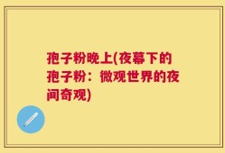 孢子粉晚上(夜幕下的孢子粉：微观世界的夜间奇观)