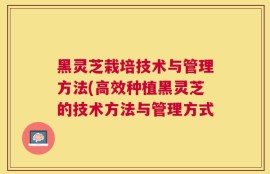 黑灵芝栽培技术与管理方法(高效种植黑灵芝的技术方法与管理方式