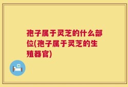 孢子属于灵芝的什么部位(孢子属于灵芝的生殖器官)