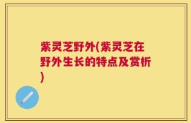 紫灵芝野外(紫灵芝在野外生长的特点及赏析)