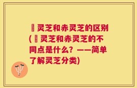 艼灵芝和赤灵芝的区别(艼灵芝和赤灵芝的不同点是什么？——简单了解灵芝分类)