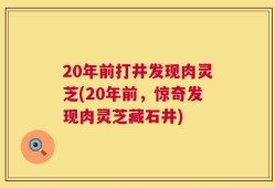 20年前打井发现肉灵芝(20年前，惊奇发现肉灵芝藏石井)