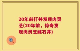 20年前打井发现肉灵芝(20年前，惊奇发现肉灵芝藏石井)