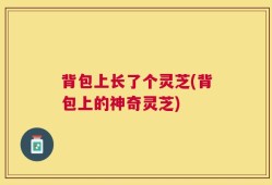 背包上长了个灵芝(背包上的神奇灵芝)