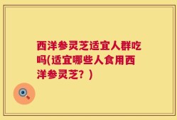 西洋参灵芝适宜人群吃吗(适宜哪些人食用西洋参灵芝？)