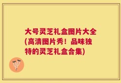 大号灵芝礼盒图片大全(高清图片秀！品味独特的灵芝礼盒合集)