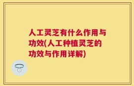 人工灵芝有什么作用与功效(人工种植灵芝的功效与作用详解)