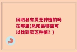 凤阳县有灵芝种植的吗在哪里(凤阳县哪里可以找到灵芝种植？)
