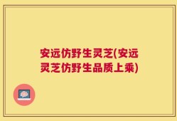 安远仿野生灵芝(安远灵芝仿野生品质上乘)