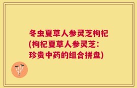冬虫夏草人参灵芝枸杞(枸杞夏草人参灵芝：珍贵中药的组合拼盘)