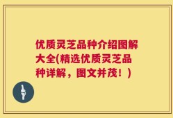 优质灵芝品种介绍图解大全(精选优质灵芝品种详解，图文并茂！)